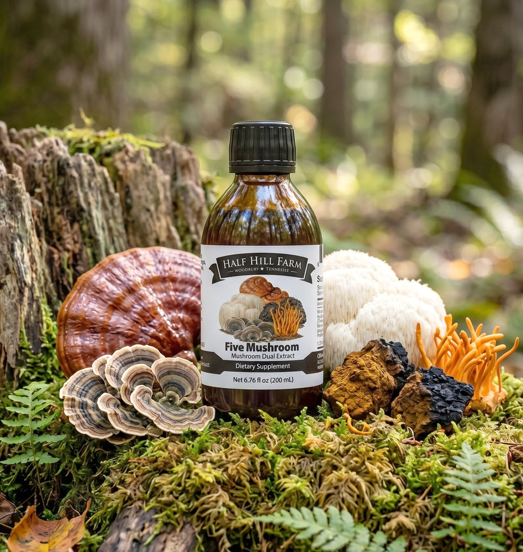 Five Mushroom Dual Extract