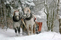 Sleigh Ride - Christmas and Holiday Candle Fragrance  Premium Fragrance Oil